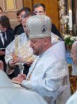 Kép szöveg