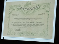 Kép szöveg