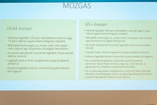 Kép szöveg