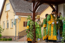 Kép szöveg