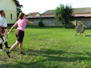 Kép szöveg