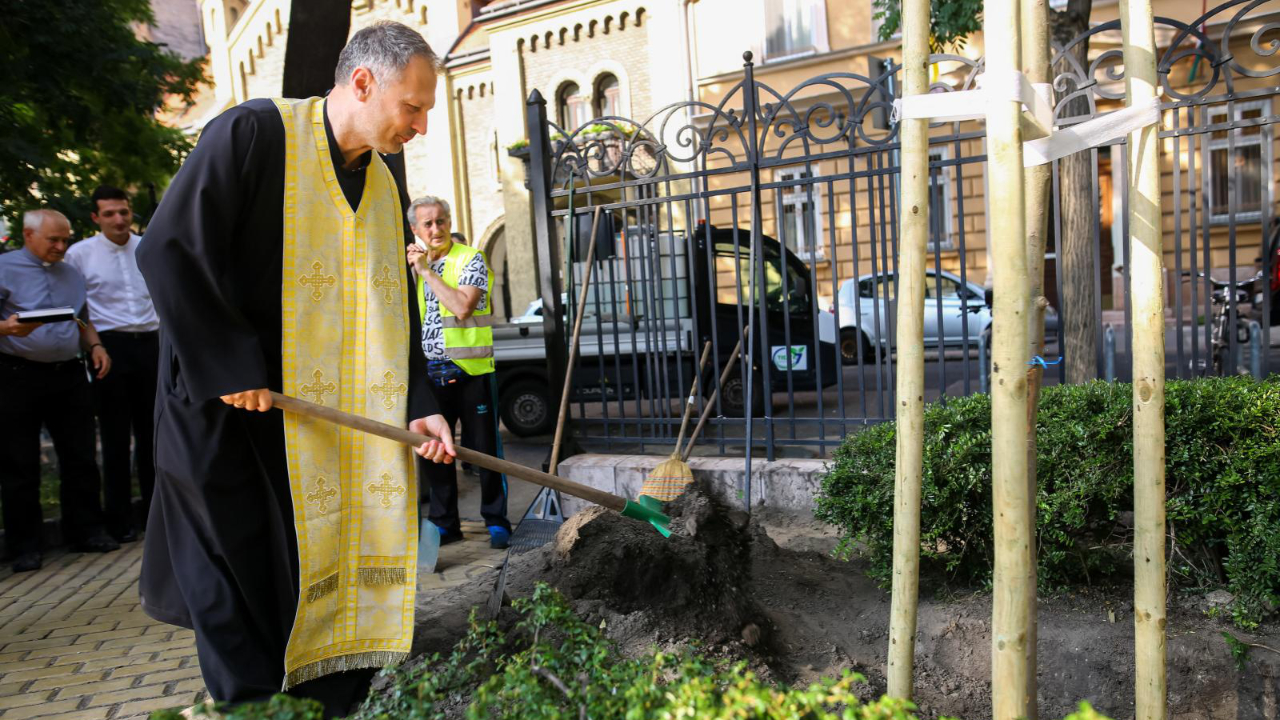 Emlékfa hirdeti Ferenc pápa látogatását a budapesti Rózsák terén