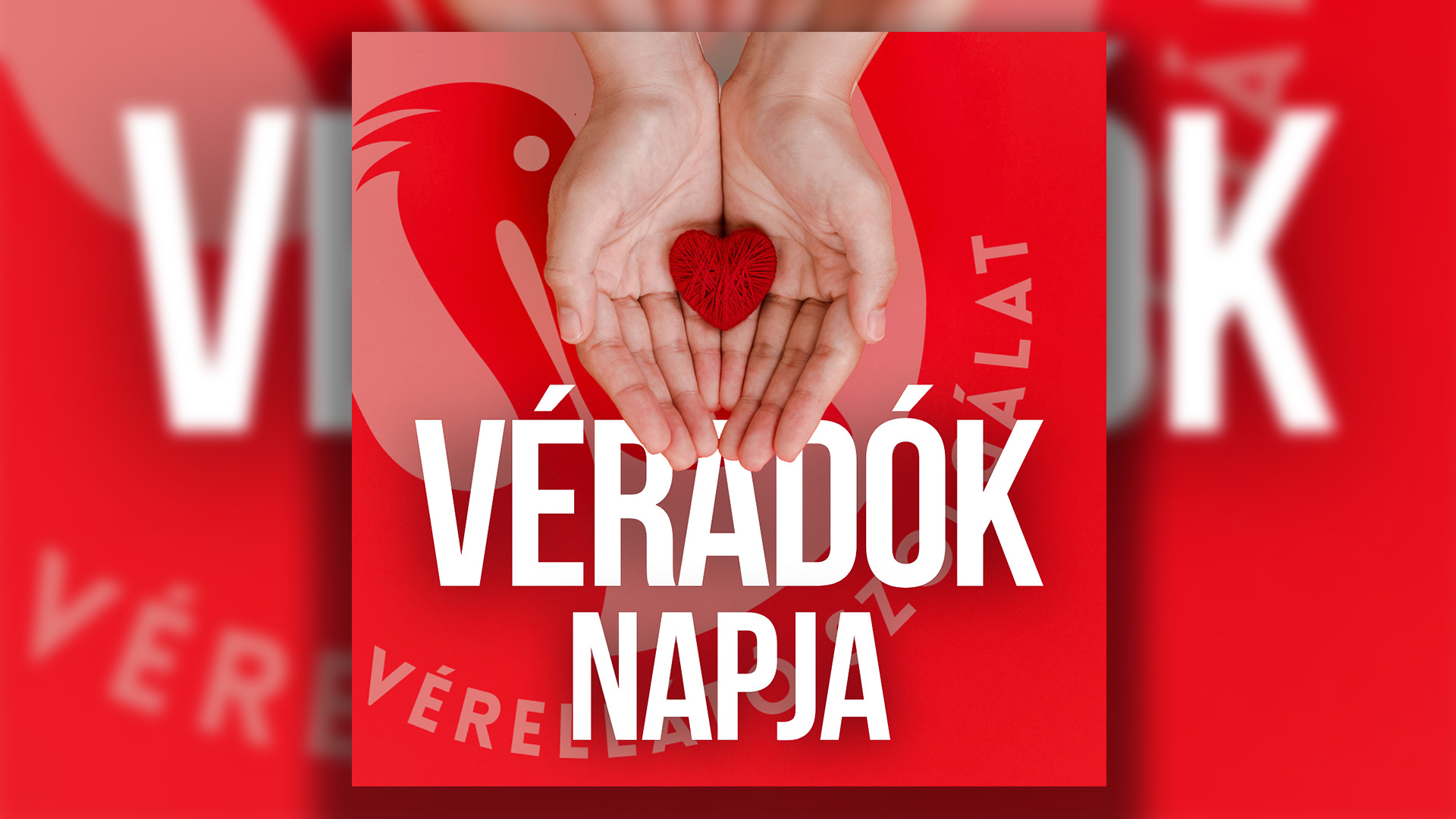 Adj vért, és ments meg három életet!